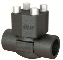 FlowBiz Forged Steel Lift Check Valve