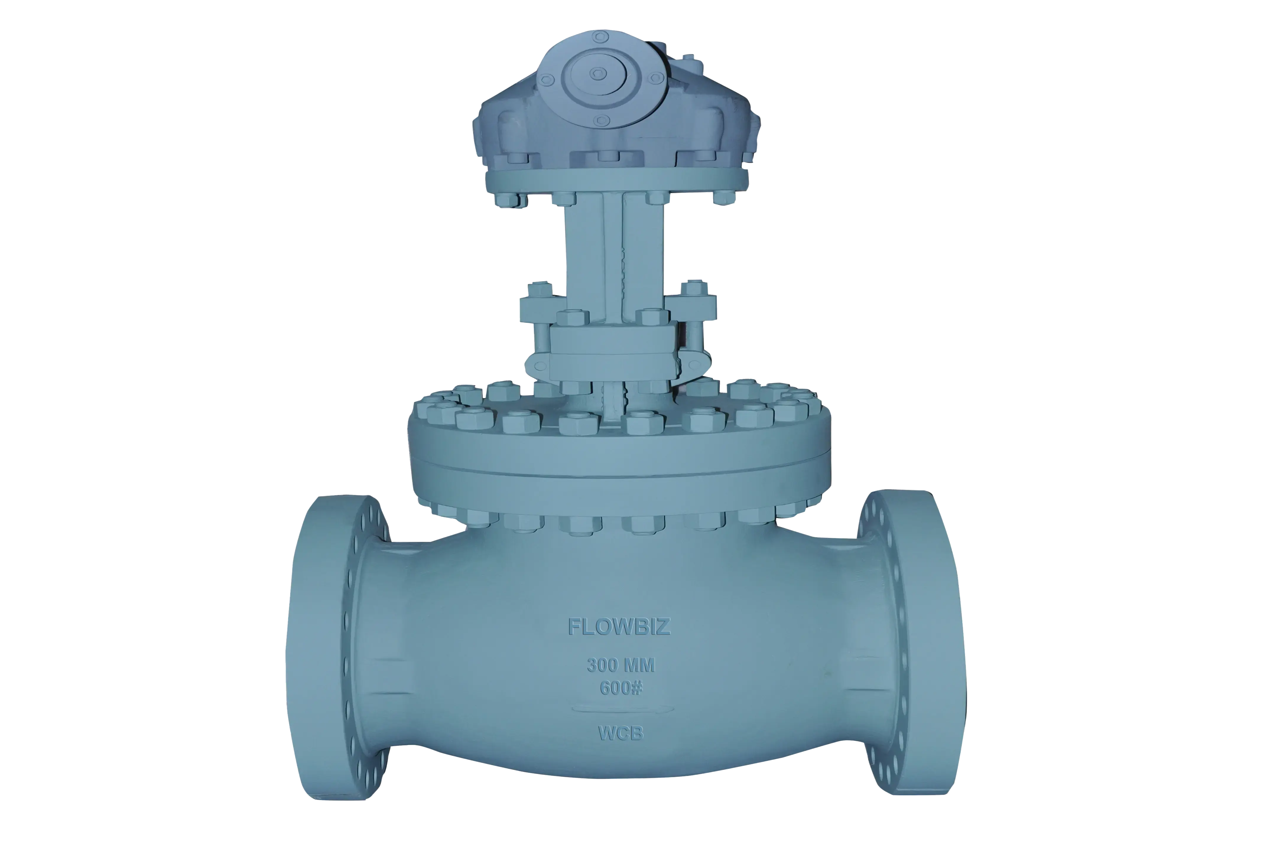 globe valve manufacturer india - Flowbiz