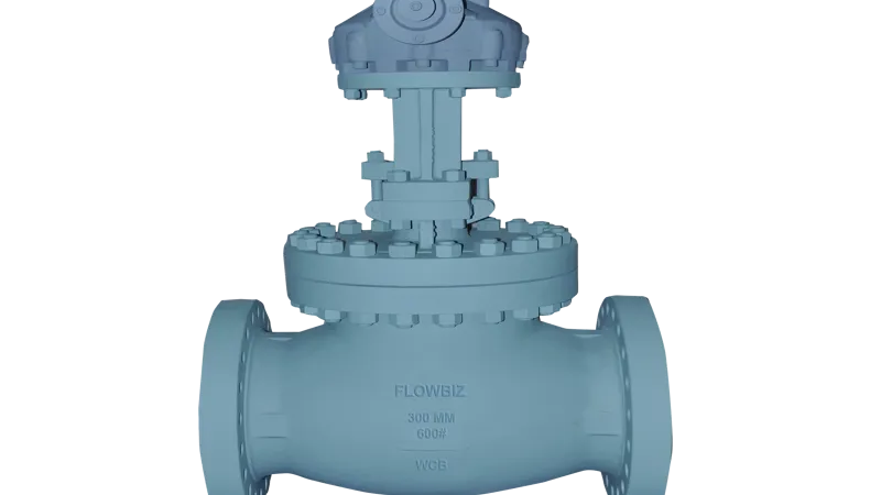 globe valve manufacturer india - Flowbiz