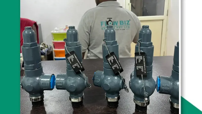 best safety valve manufacturer nashik - Flowbiz