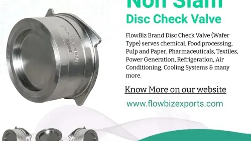check valve manufacturer india - Flowbiz