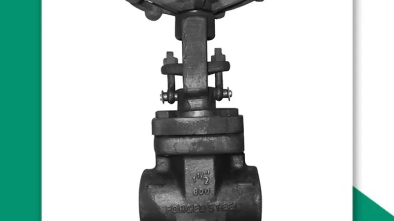 Forged Steel Gate Valve Manufacturer in Nashik