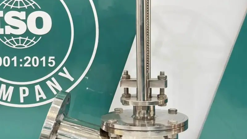 Flush Bottom Tank Valve Manufacturer India