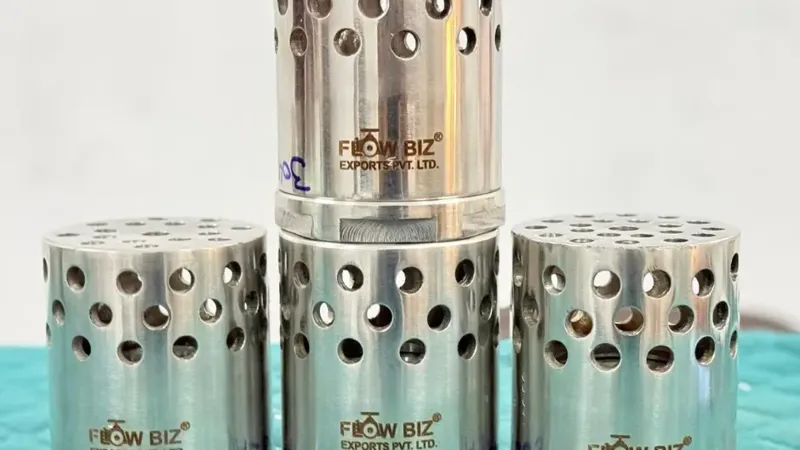 Stainless Steel Foot Valve 304/316 Screwed End