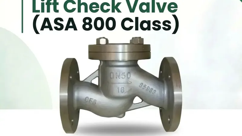 Lift Check Valve