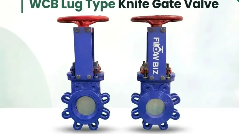 WCB Lug Type Knife Gate Valve Manufacturer & Supplier