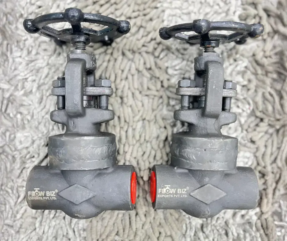 Globe Valve
