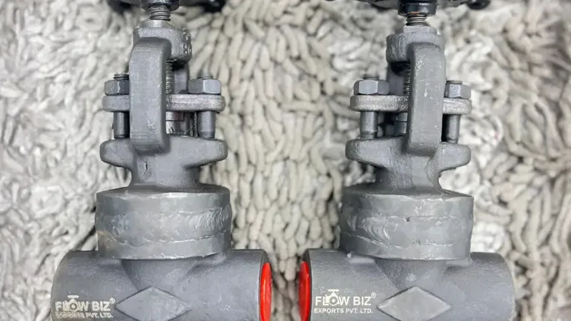 Globe Valve