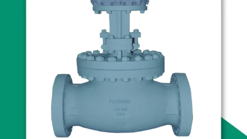 globe valve manufacturer nashik - Flowbiz