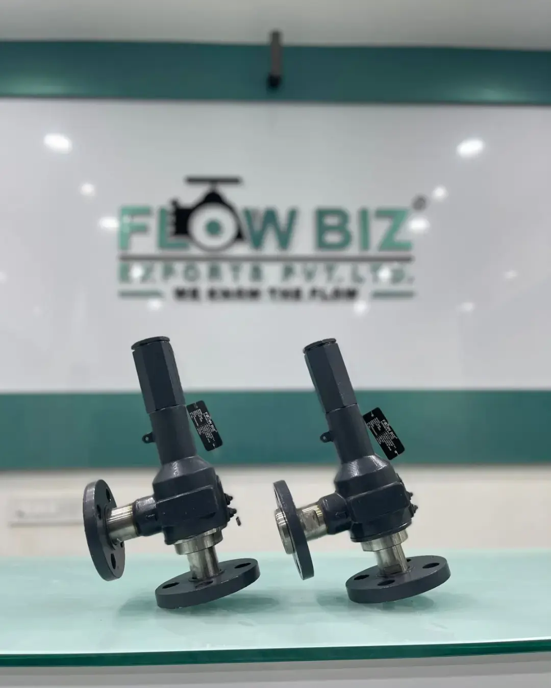 FlowBiz Stainless Steel Flanged Ball Valve with Lever Handle for Industrial Flow Control