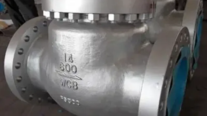 Swing Check Valve