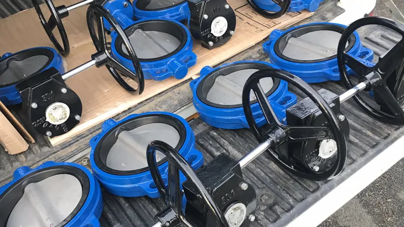 FlowBiz Gear operated butterfly Valve