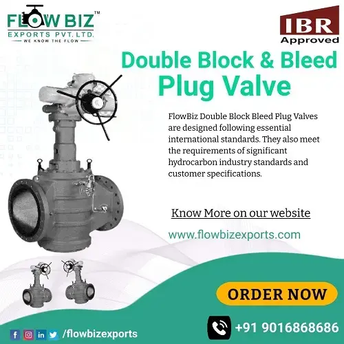 Double Block & Bleed  Plug Valve