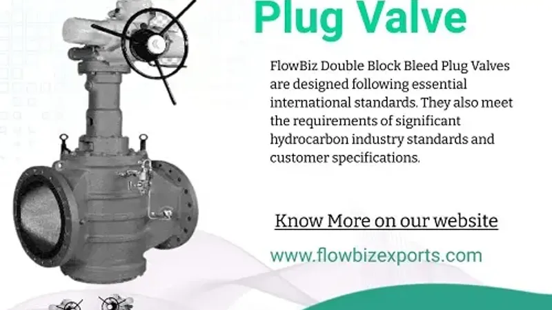 Double Block & Bleed Plug Valve