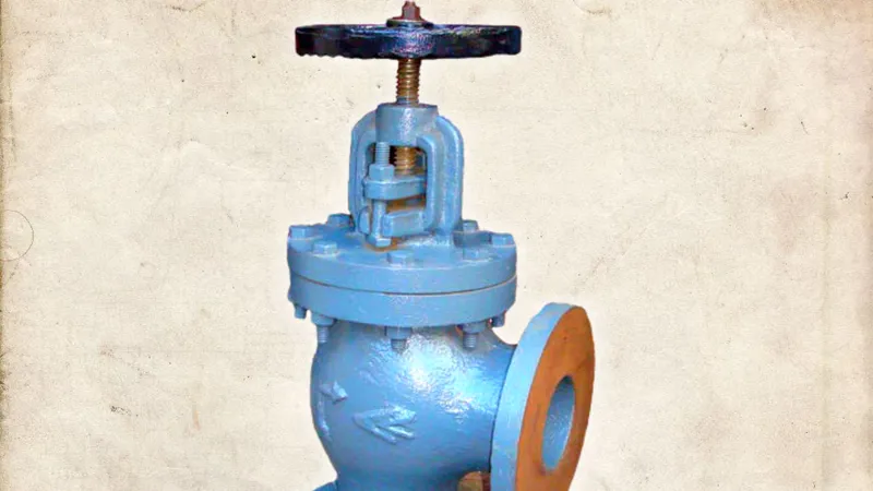 FlowBiz Angle type Globe Valve