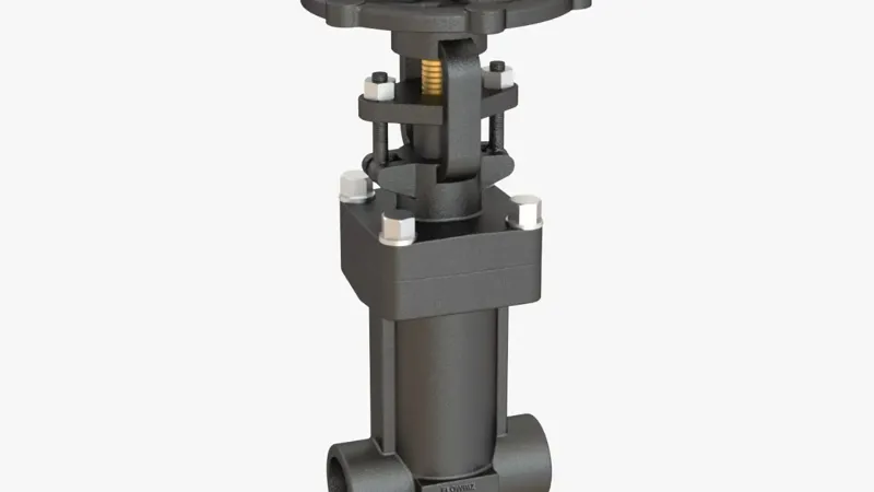forged globe valve manufacturer india - Flowbiz