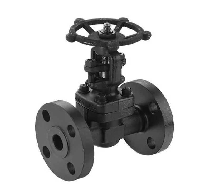 Forged Steel Gate Valve 