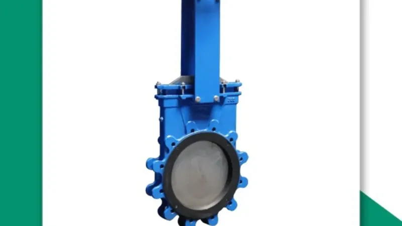 knife edge gate valve manufacturer ahmedabad - Flowbiz