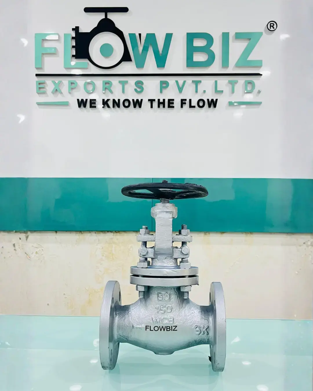 Flanged Cast Steel Globe Valve Manufacturer | FlowBiz
