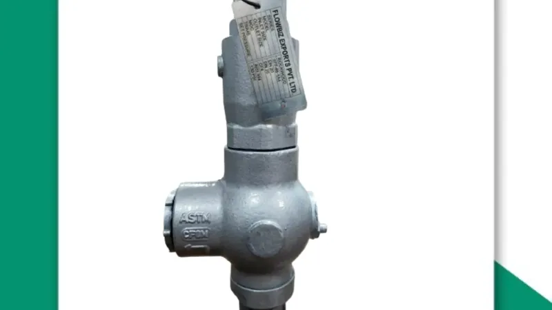 a durable and reliable safety valve manufacturer mumbai - Flowbiz