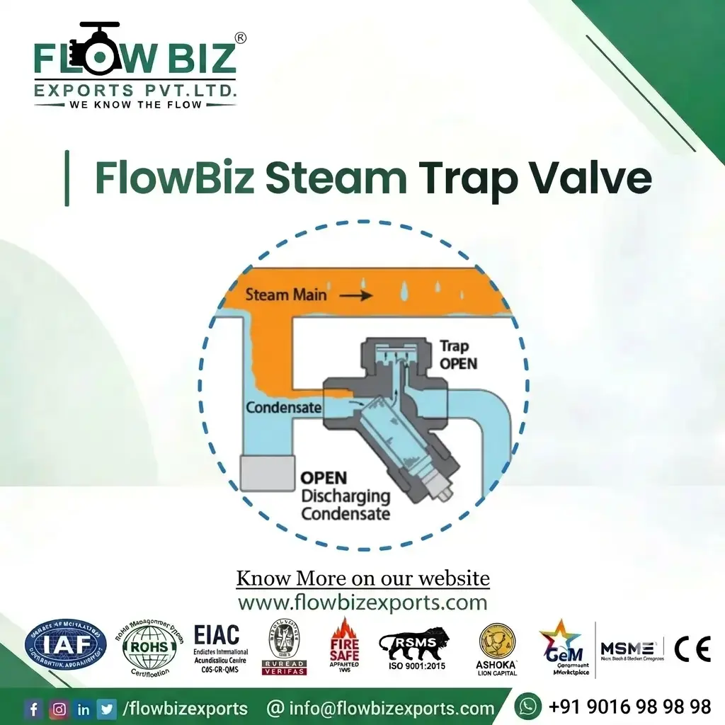 steam trap valve manufacturer india - Flowbiz