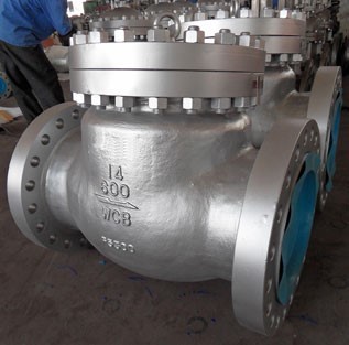 Swing Check Valve 