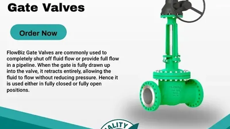 cs gate valve manufacturer india - Flowbiz