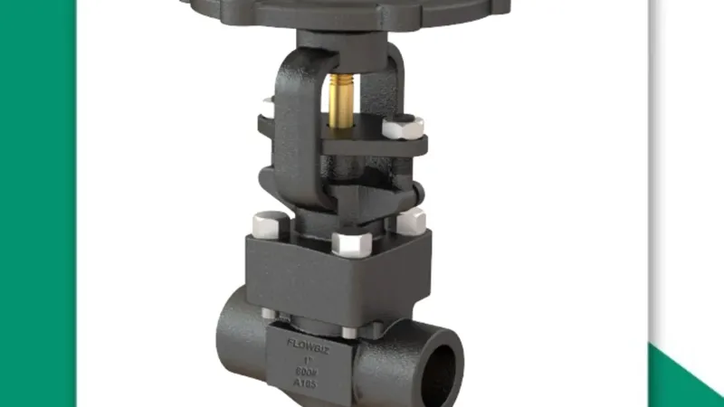 forged steel gate valve manufacturer pune - Flowbiz