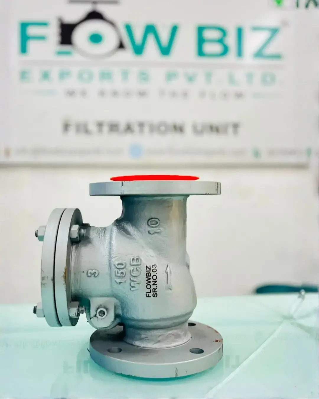 Swing Check Valves (NRV)