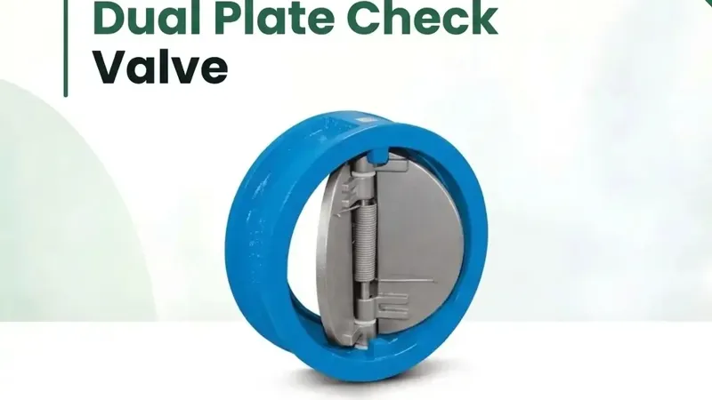 Dual Plate Check Valve, Check Valve