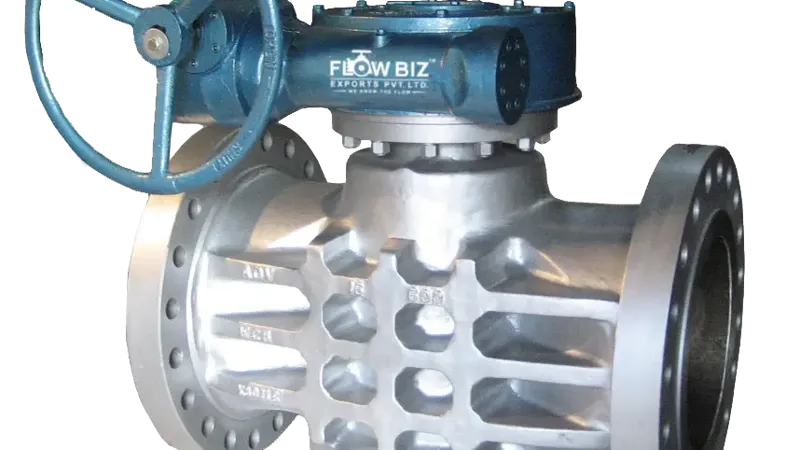 FlowBiz Plug Valve