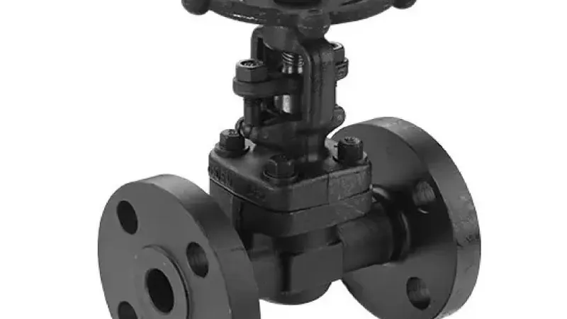 forged steel gate valve manufacturer ahmedabad - Flowbiz