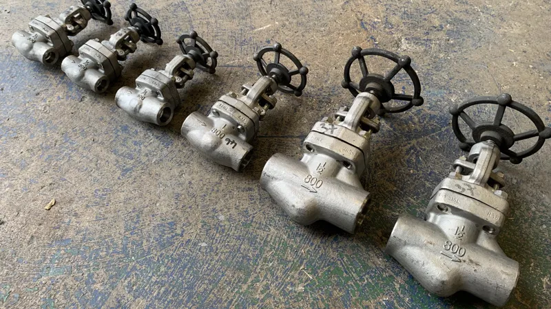forged steel gate valve manufacturer india - Flowbiz