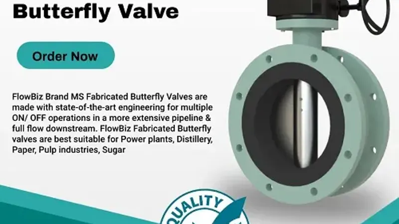 double flange butterfly valve manufacturer india - Flowbiz