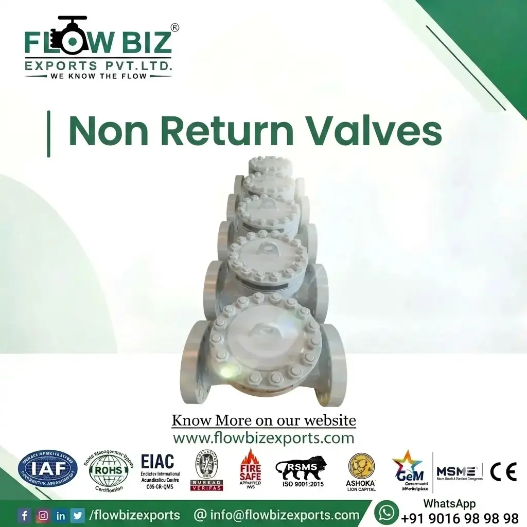 a reliable and efficient nrv valves manufacturer india - Flowbiz