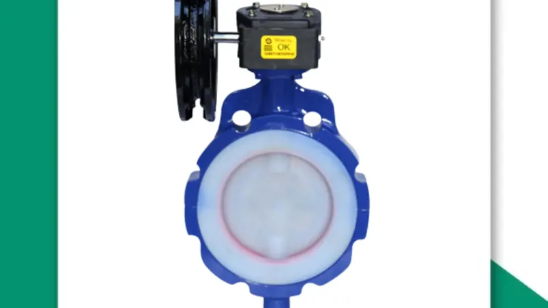 PFE Lined Butterfly Valve Manufacturer in Nashik