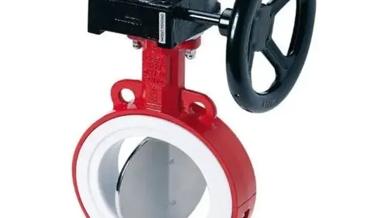 PTFE Seat Butterfly Valve