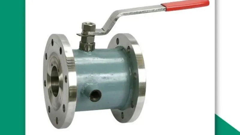 best jacketed ball valve manufacturer ahmedabad - Flowbiz