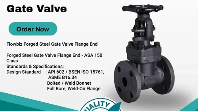 high quality forged steel gate valve manufacturer india - Flowbiz