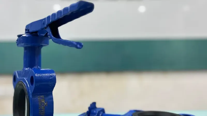 Lug Type Butterfly Valves