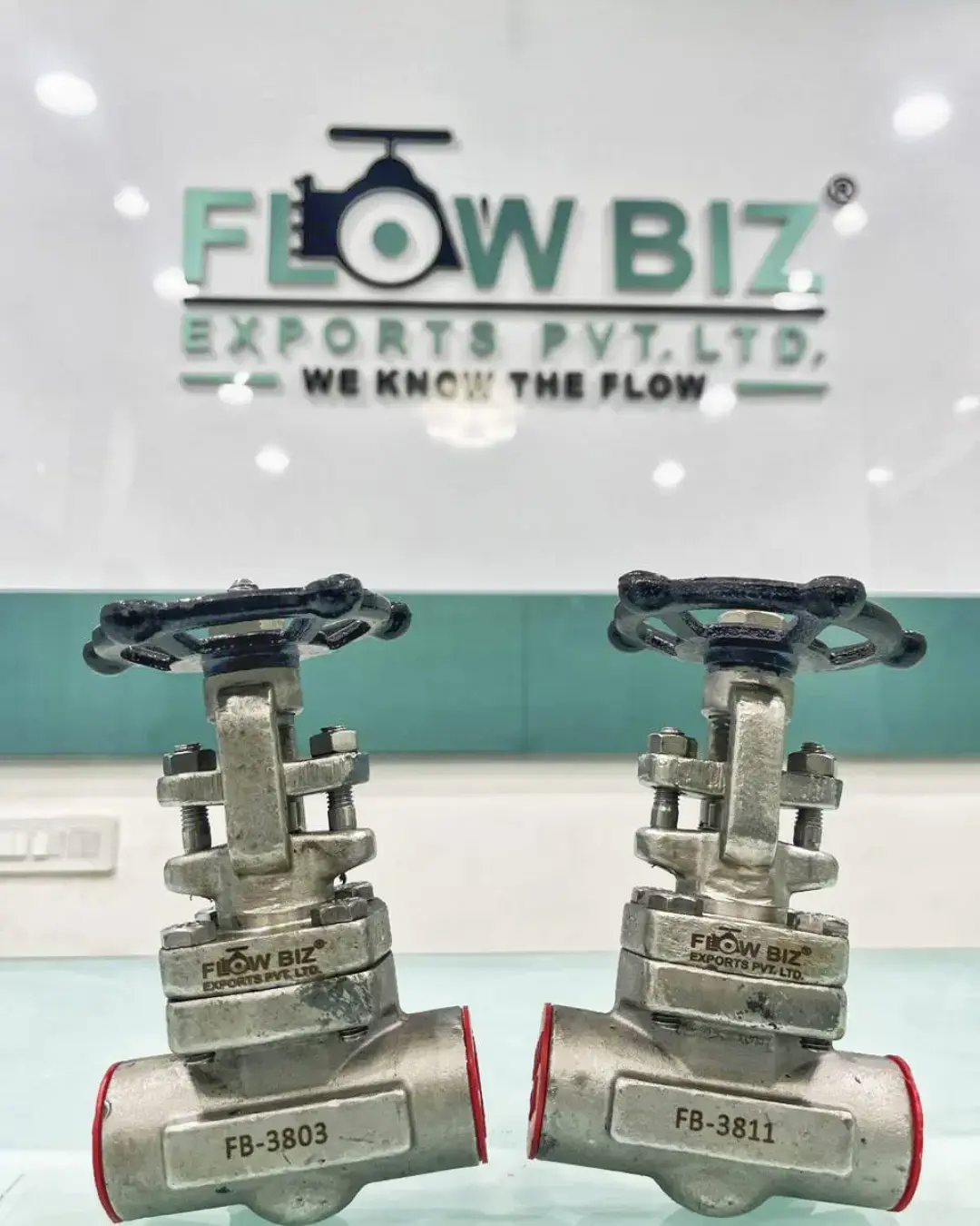 ndustrial Flanged Gate Valve Manufacturer India