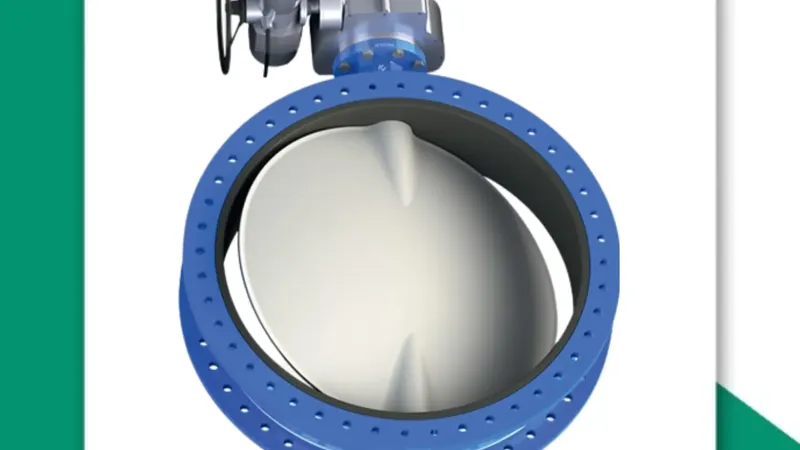 double offset butterfly valve manufacturer mumbai - Flowbiz