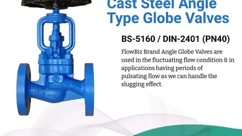 cs globe valve manufacturer india - Flowbiz