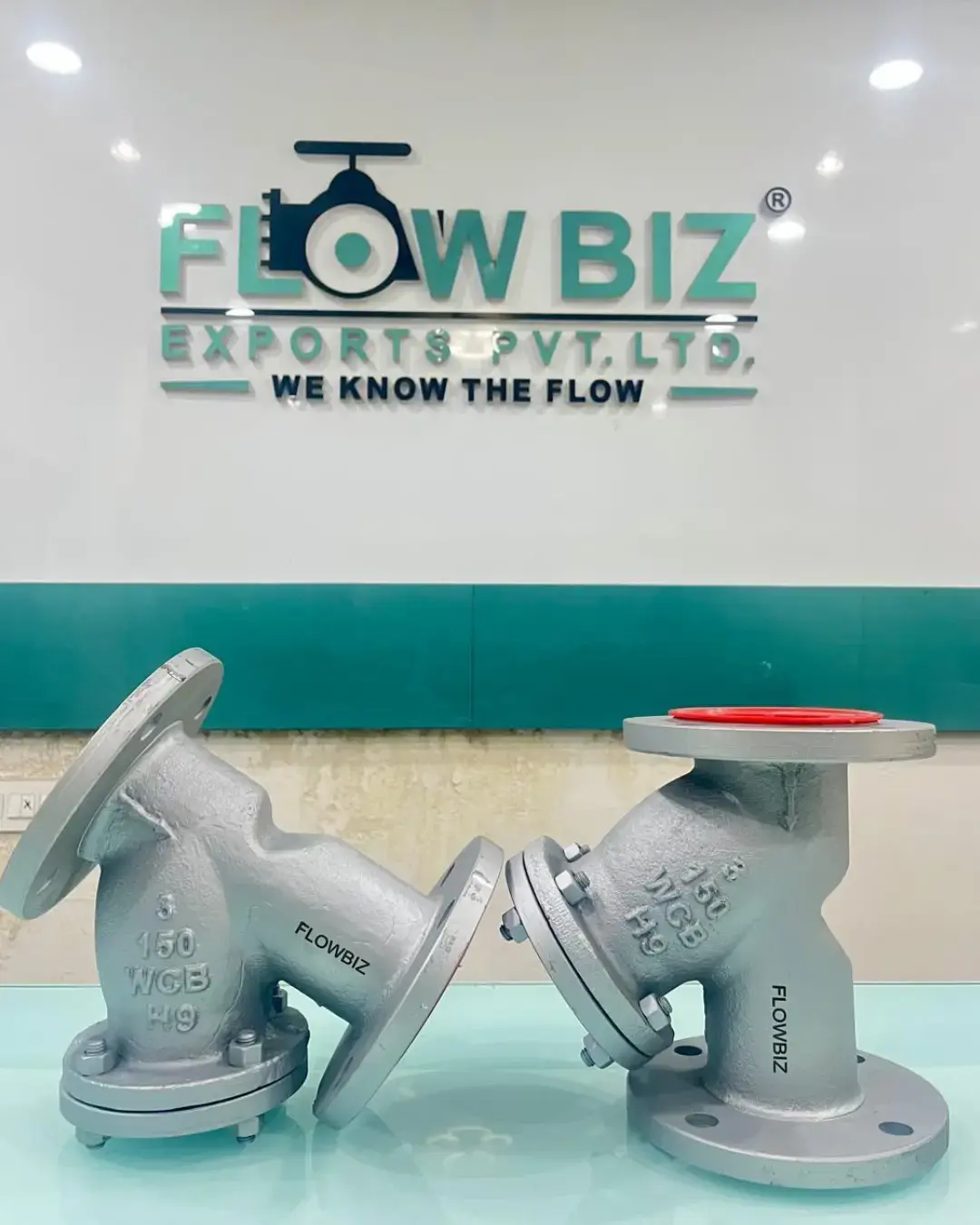 Y Strainer Manufacturer India | FlowBiz Exports