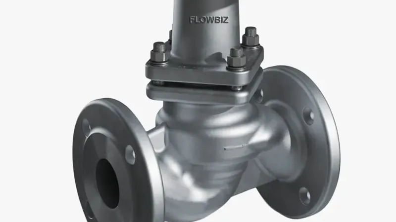 best glandless piston valve manufacturer india - Flowbiz