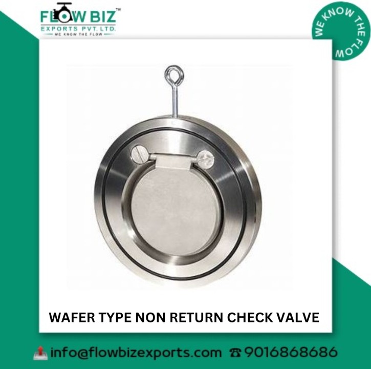 Wafer Type Non-Return Check Valve, Check Valve