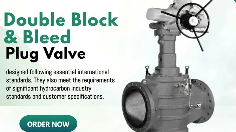 Double Block & Bleed Plug Valve