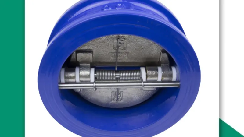 dual plate valve manufacturer mumbai - Flowbiz