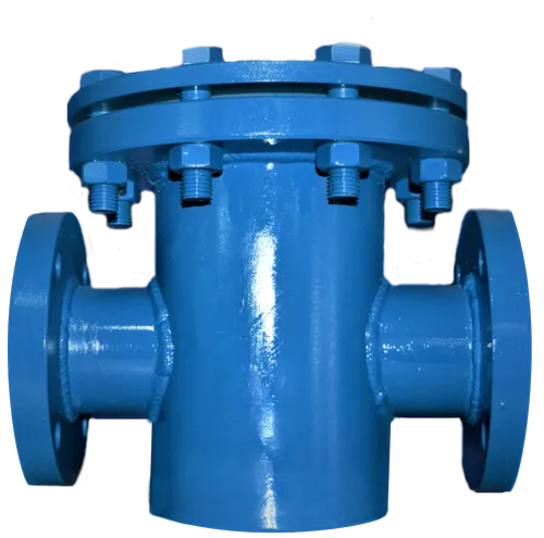 t type strainer manufacturer in india - Flowbiz