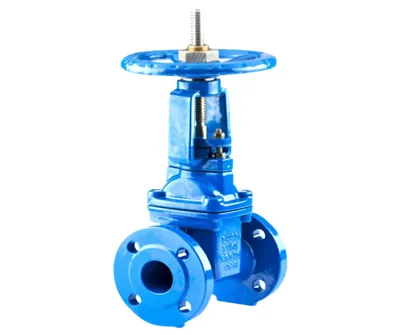 Sluice Valve